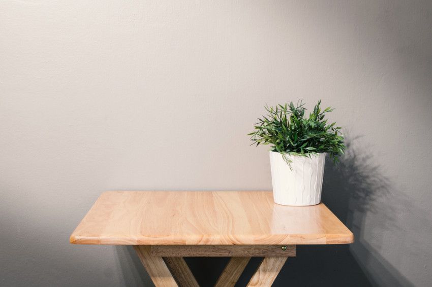 De mooiste planten voor op een houten bijzettafel