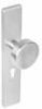 Intersteel Knop op rechthoekig schild profielcilindergat 55 mm rvs online kopen