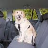 Overige merken Wandel en Autoharnas met Gordel voor de hond online kopen