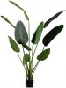 Woood Strelitzia Kunstplant Groen 164 cm online kopen