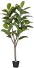 Woood Rubberboom Kunstplant 135 cm Plastic Groen 135x74x55 online kopen